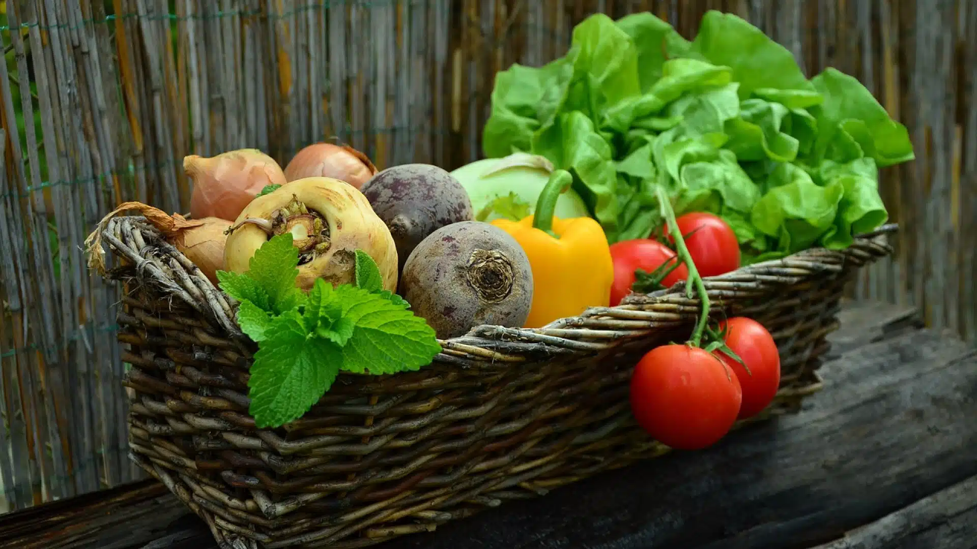 Stockez des produits alimentaires dans un bac gastro